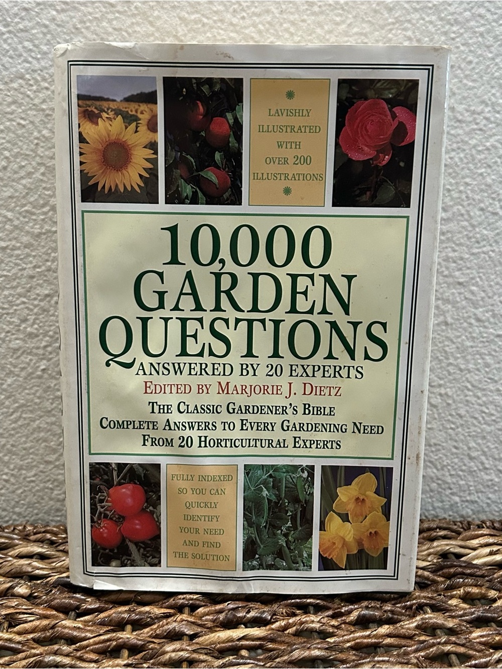 Vintage 10,000 Garden Questions by Marjorie J. Dietz (1996, Hardcover)